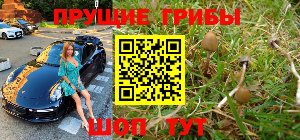 Галлюциногенные грибы Cubensis  Вход с VPN  Аксай 