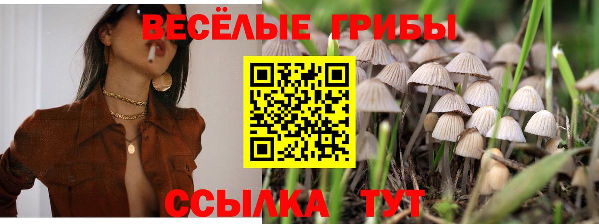 Псилоцибиновые грибы MAGIC MUSHROOMS Аксай